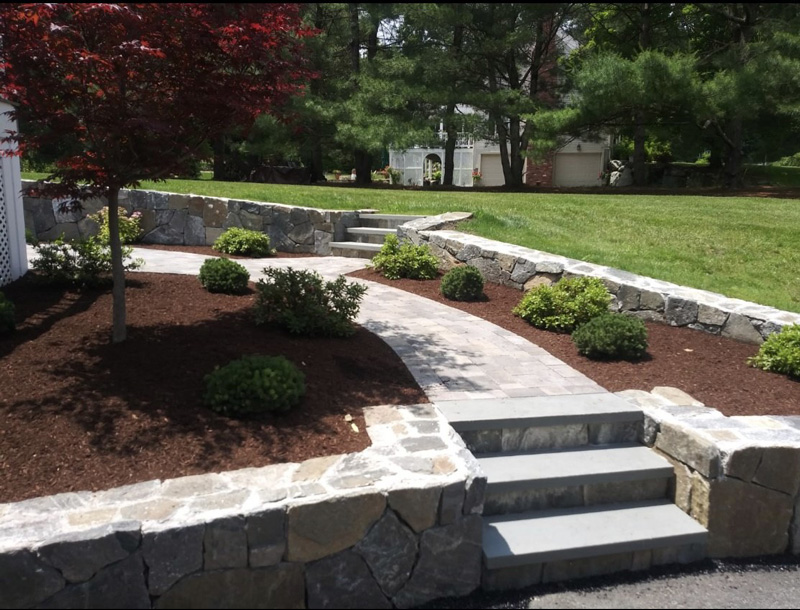 Landscape & Landscape Design